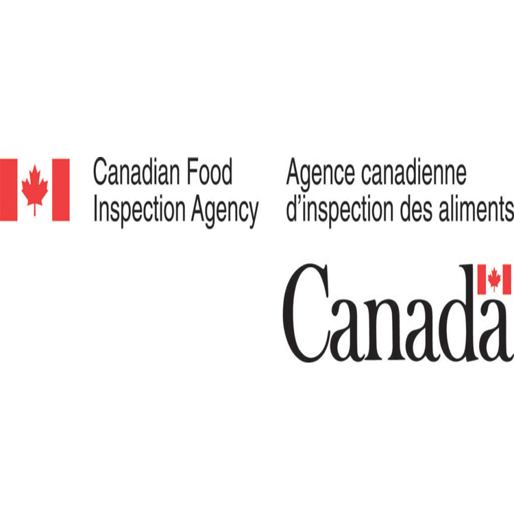Government Logo